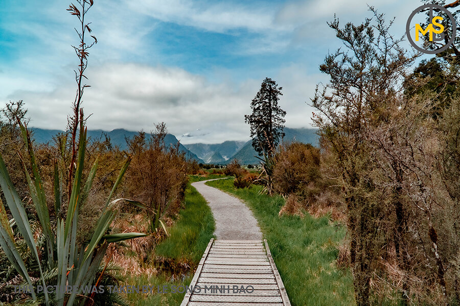 diem-du-lich-noi-tieng-o-dao-nam-new-zealand-19