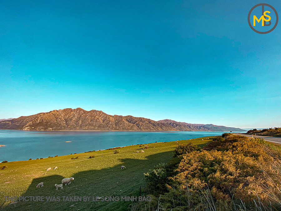 diem-du-lich-noi-tieng-o-dao-nam-new-zealand-22