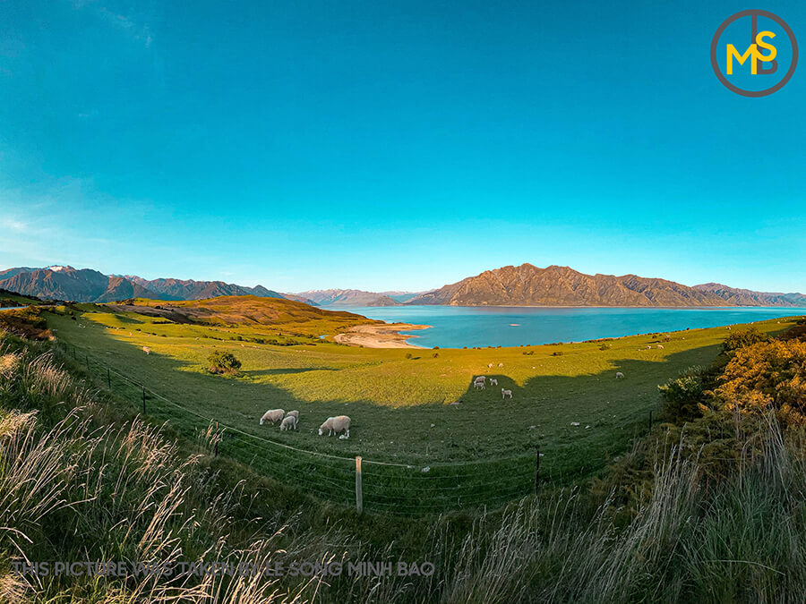 diem-du-lich-noi-tieng-o-dao-nam-new-zealand-23