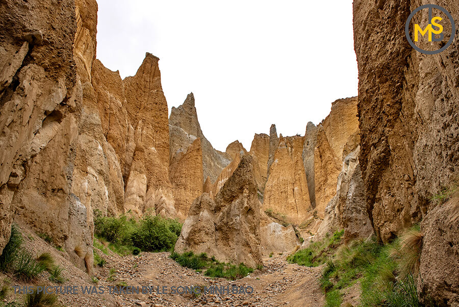 diem-du-lich-noi-tieng-o-dao-nam-new-zealand-43