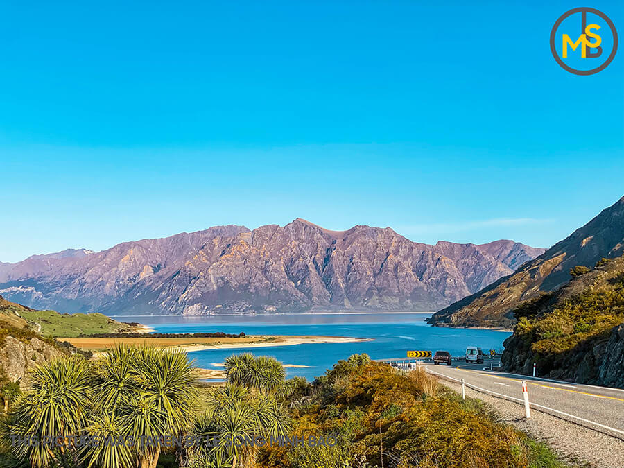 lich-trinh-di-new-zealand-tu-tuc-14-ngay-dao-nam-30